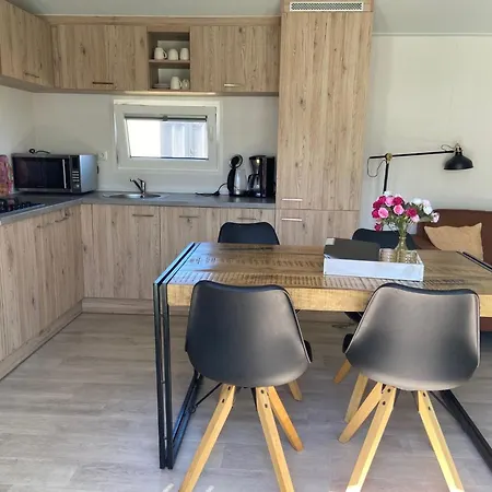 Holiday Wiringherlant-14 By Interhome * Noordstroe